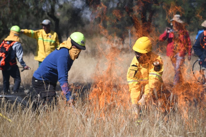 Capacity building in forest fires fighting D.Aguirre.Armonia